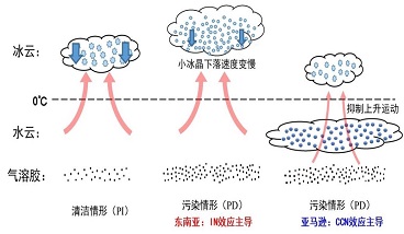 CCN（云凝結核）效應、IN（冰核）效應