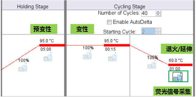 7500 Fast StepOnePlus ViiA7實(shí)時(shí)實(shí)時(shí)熒光定量PCR儀雙溫循環(huán)程序熒光信號采集時(shí)間設(shè)置.jpg