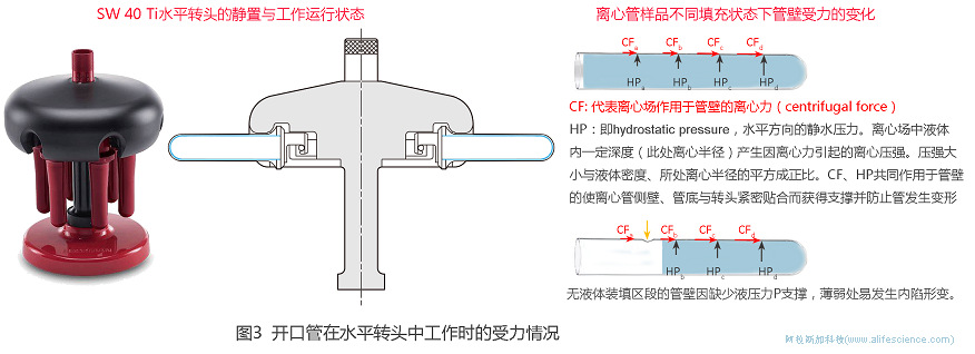 Beckman Optima XPN-100超速離心機(jī)開口管在SE40 Ti水平轉(zhuǎn)頭中工作時(shí)的受力情況.jpg